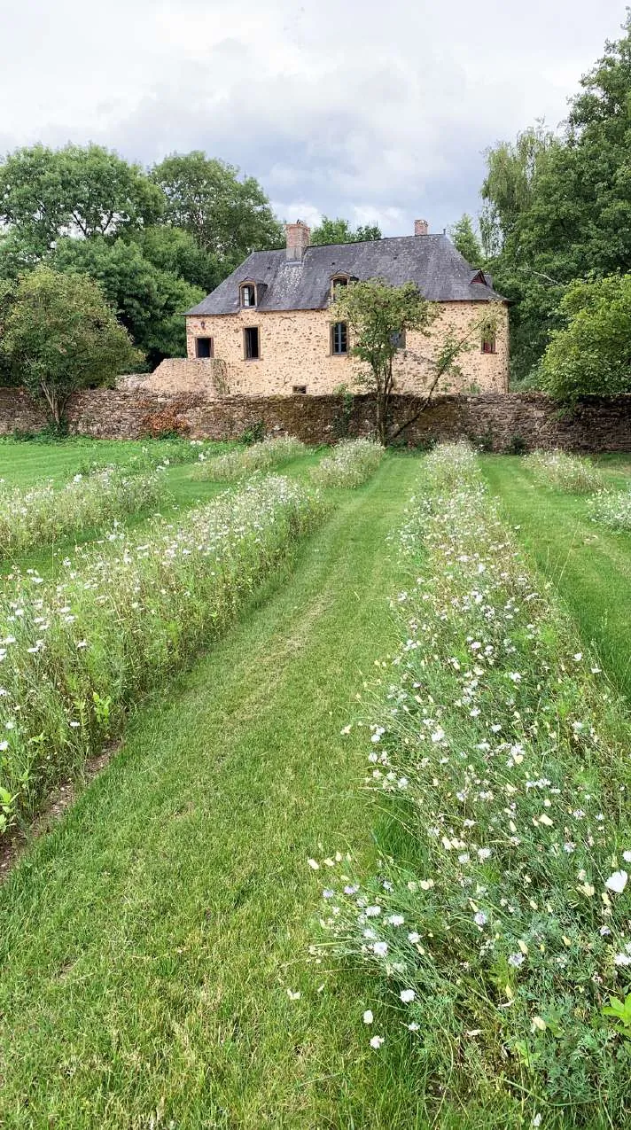 Rows of flowers leading to the stone house