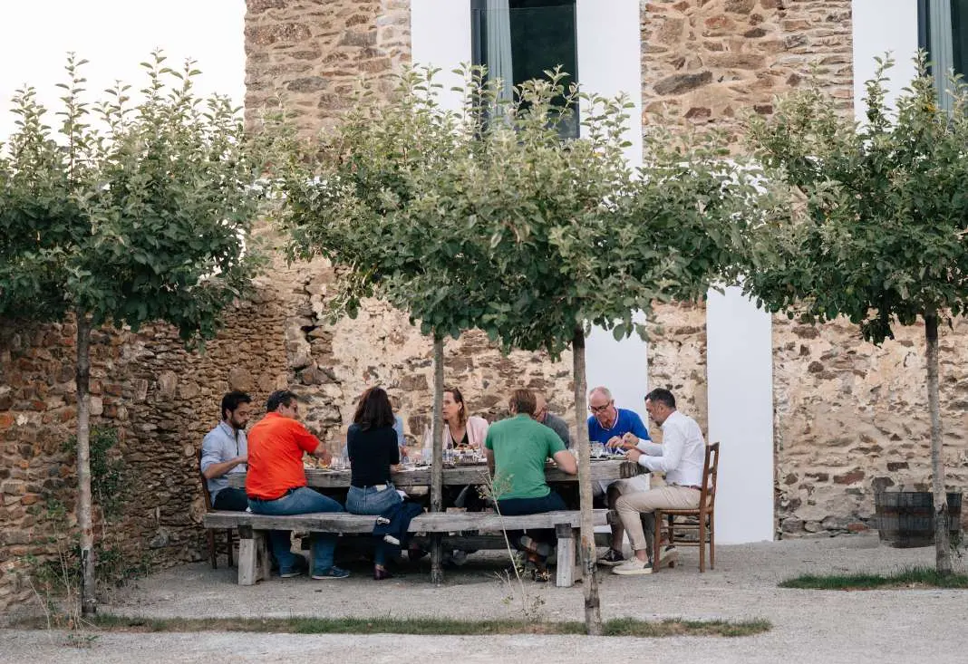Repas de groupe sous les arbres, dans la cour en pierre