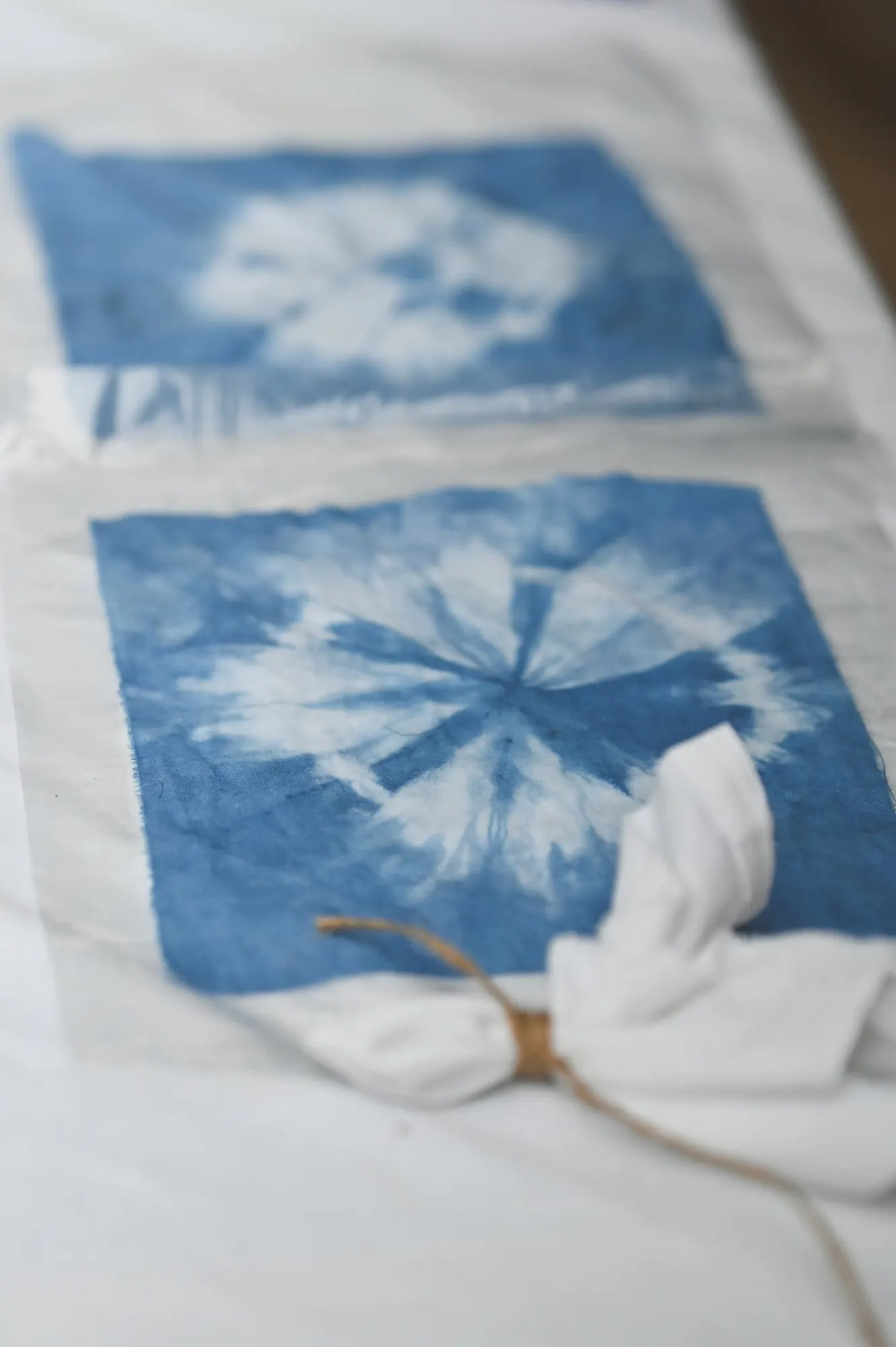 Blue botanical prints on cotton, tied with string