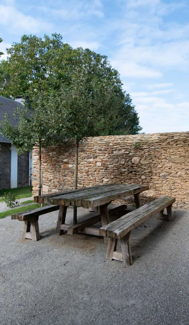 A stone table and benches under a tree