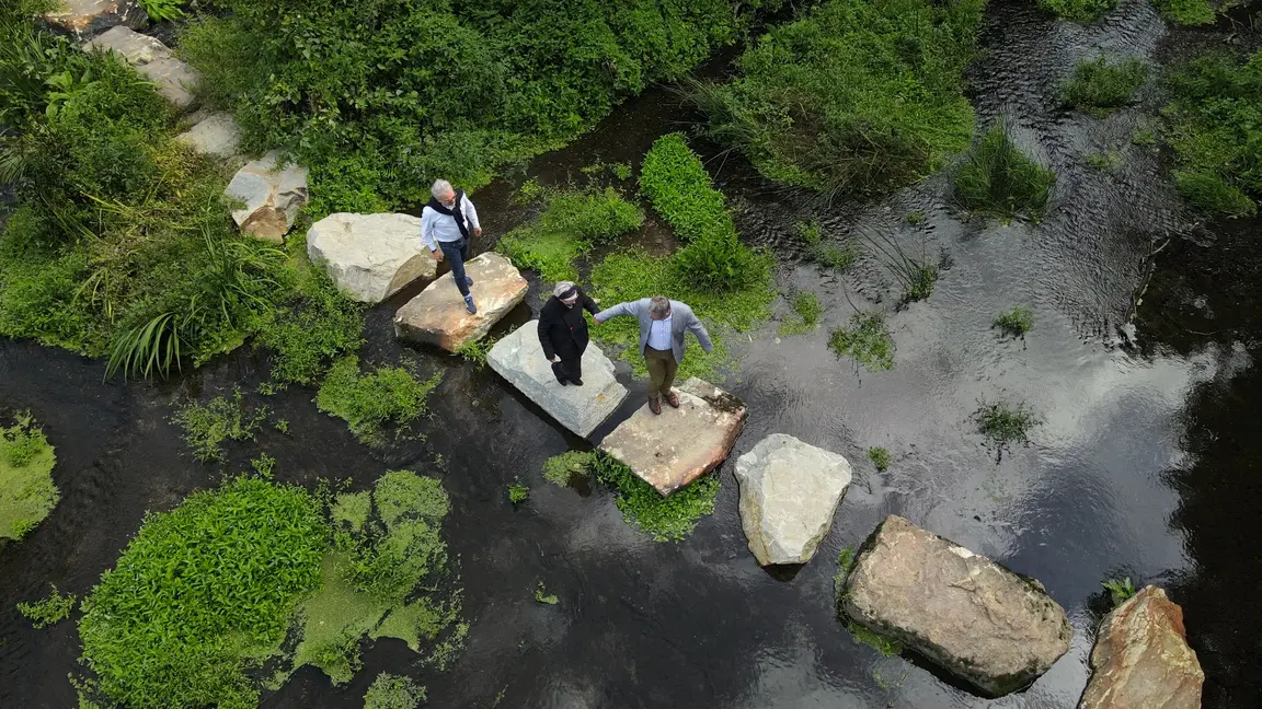 Stepping stones across a stream seen from above
